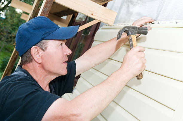 Best Hoarding Cleanup  in Shepherd, MI