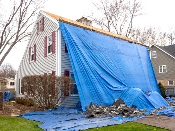 Best Estate Cleanout  in Shepherd, MI